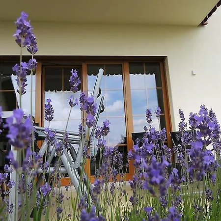 Apartment Haus Morgensonne *